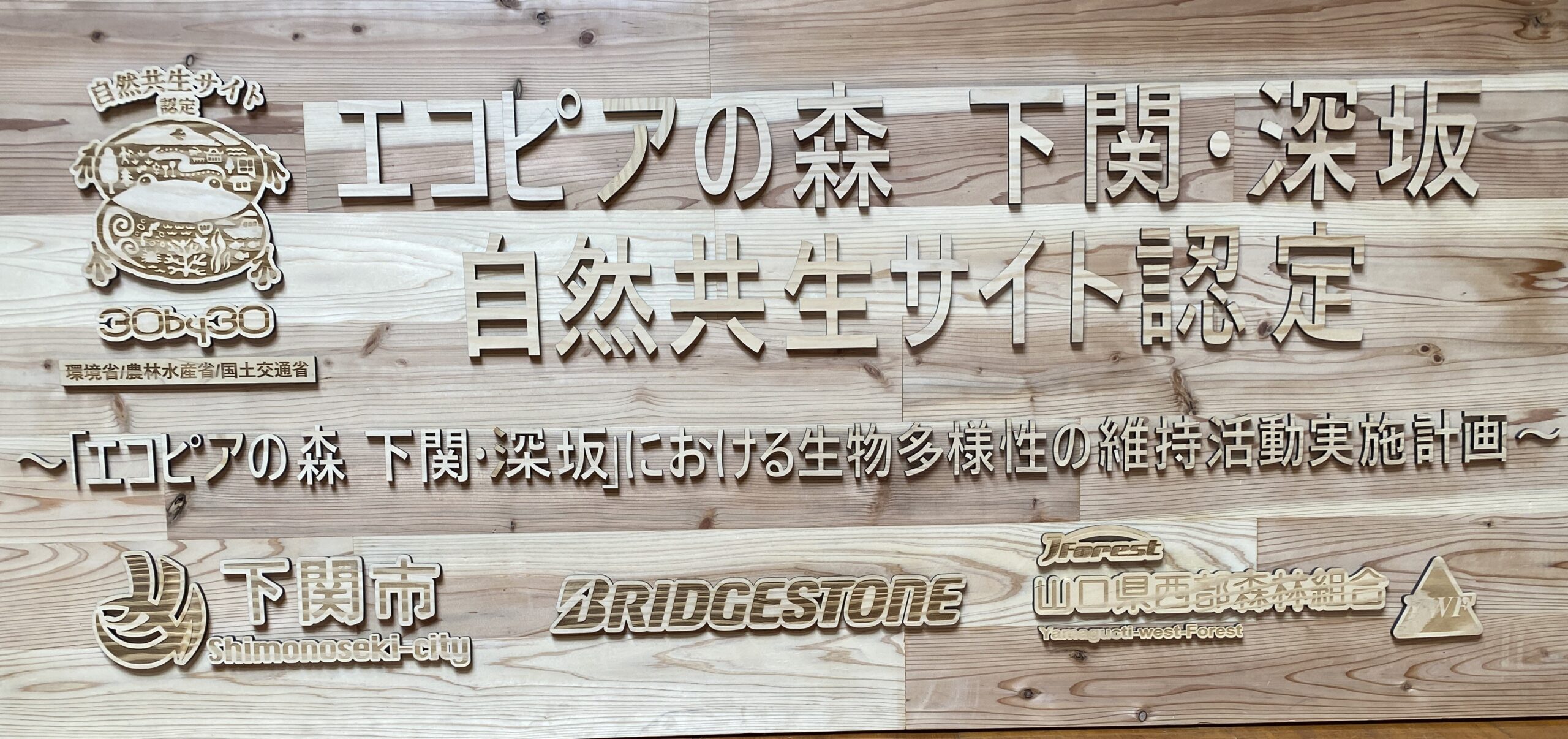森の幼稚園